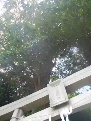 中里神社の鳥居