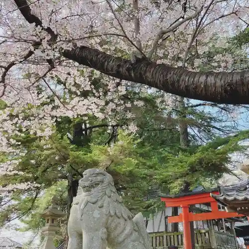 玉前神社の狛犬