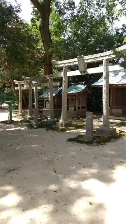 橘樹神社の鳥居