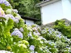 大雲寺(長野県)