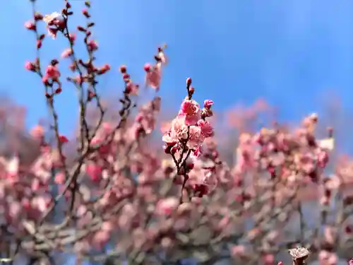 眞田神社(長野県)