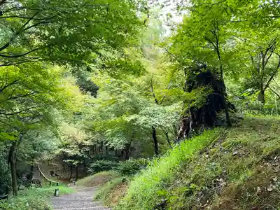 高台寺（高台寿聖禅寺・高臺寺）(京都府)