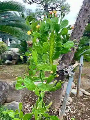 延命寺(神奈川県)