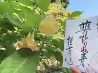 横蔵寺(岐阜県)