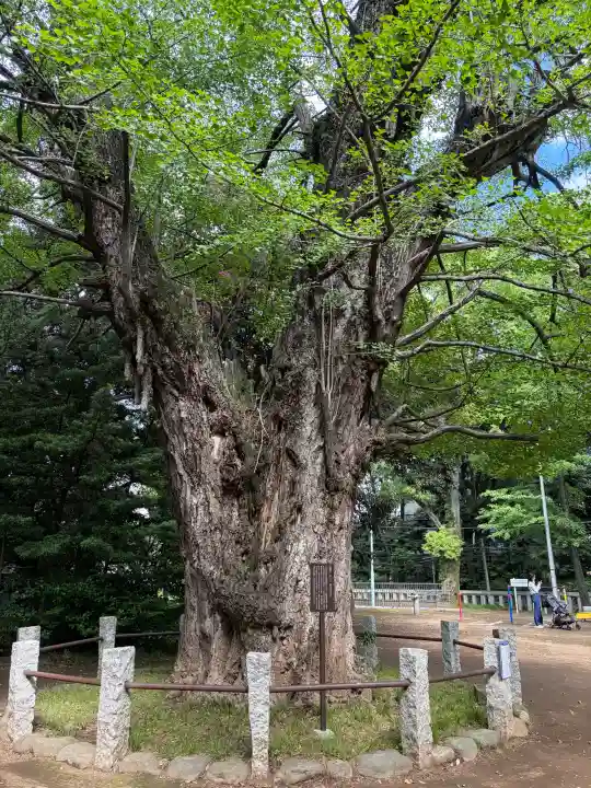 赤坂氷川神社(東京都)