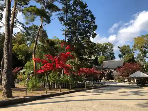 今宮神社の庭園