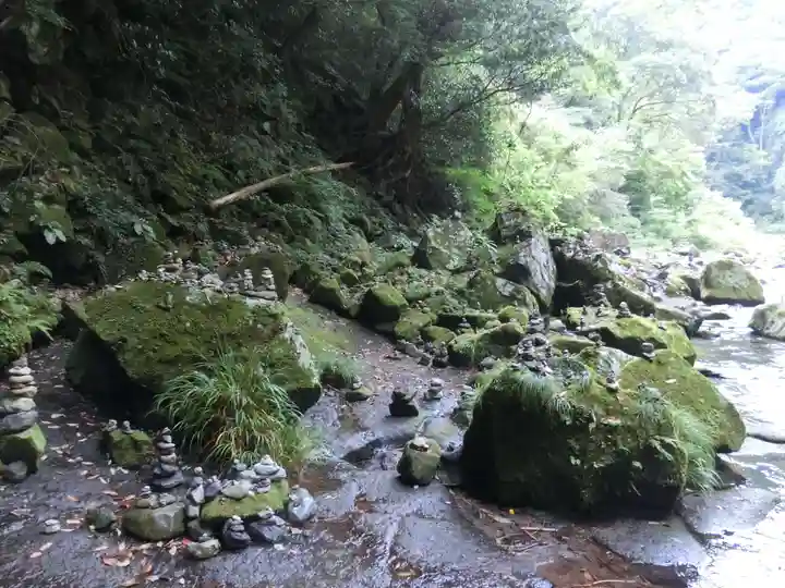 天岩戸神社の自然