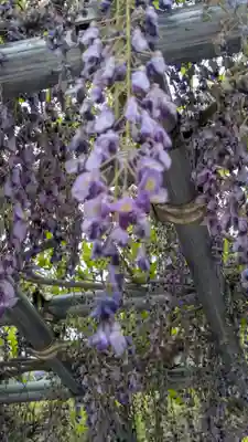 大松禅寺(京都府)