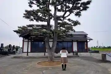 高照寺の本殿・本堂