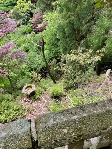 大山寺の体験その他