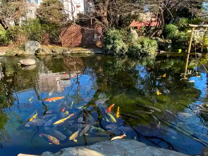 愛宕神社の動物