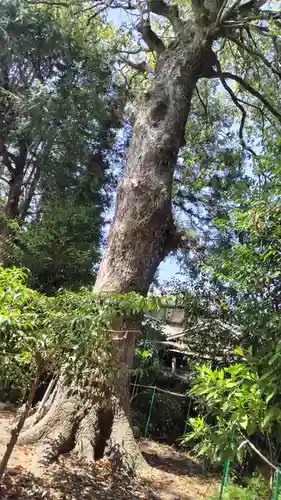 伊豆神社(滋賀県)