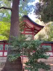 世田谷八幡宮(東京都)