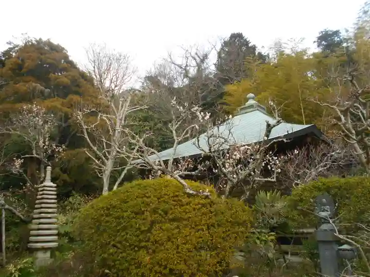 浄光明寺の自然