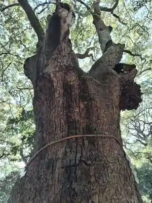 生田神社(兵庫県)