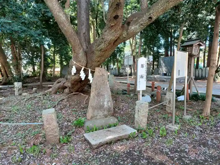 北野天神社の{uncategorized: "未分類", other: "その他", undefined: "問題あり", building: "その他建物", grave: "お墓", sacred_gate: "鳥居", guardian: "狛犬", statue: "像", buddha: "仏像", history: "歴史", nature: "自然", garden: "庭園", animal: "動物", pagoda: "塔", temizu: "手水舎", mountain_gate: "山門・神門", sanctuary: "本殿・本堂", subordinate: "末社・摂社", art: "芸術", scenery: "景色", jizo: "地蔵", ema: "絵馬", goshuin: "御朱印", omikuji: "おみくじ", items: "授与品その他", amulet: "お守り", goshuincho: "御朱印帳", eats: "食事", festival: "お祭り", votive_dance: "神楽", shichigosan: "七五三参", wedding: "結婚式", experience: "体験その他", initially: "初詣", around: "周辺", anti_infection: "感染症対策"}