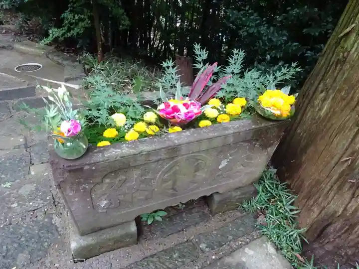 田間神社(千葉県)