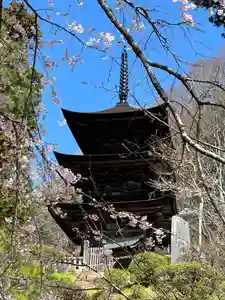 国宝 大法寺(長野県)(2023年04月03日(月) 15時42分51秒投稿)