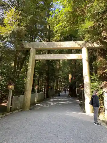 椿大神社の鳥居