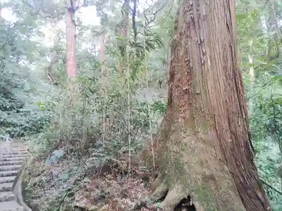 笠森寺(千葉県)