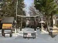 信濃神社の鳥居
