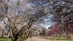 東持寺の自然