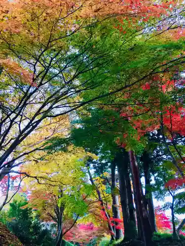 中尊寺の自然