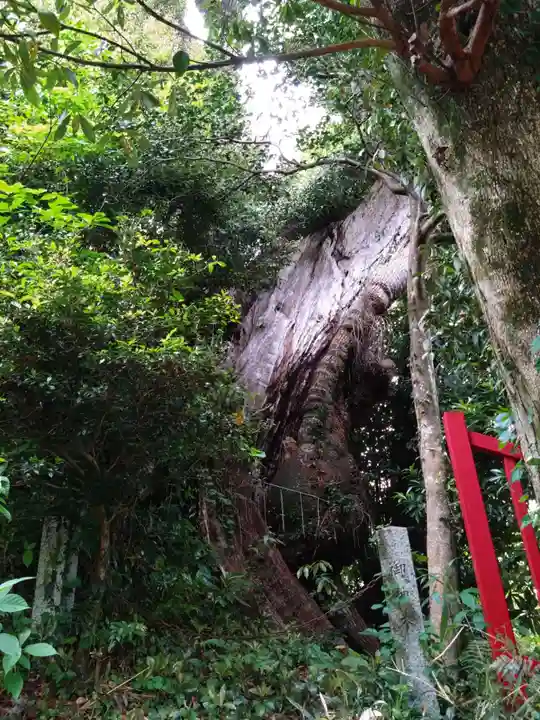 岩水寺(静岡県)