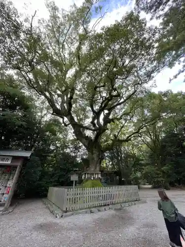 熱田神宮(愛知県)