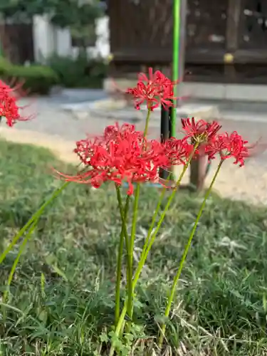 沙沙貴神社(滋賀県)