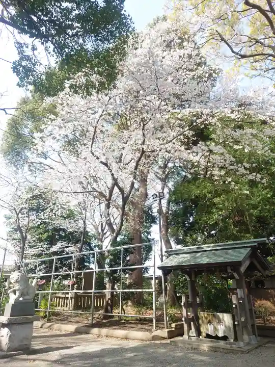 倉見神社(神奈川県)
