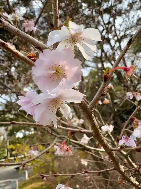 宗像神社(京都府)