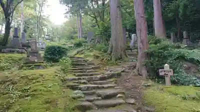 林泉寺の自然