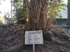 天満神社(茨城県)