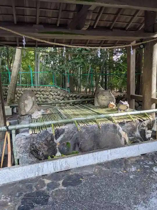 椿大神社の手水舎