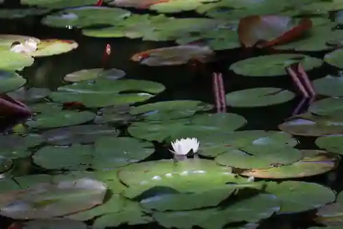 岩船寺(京都府)