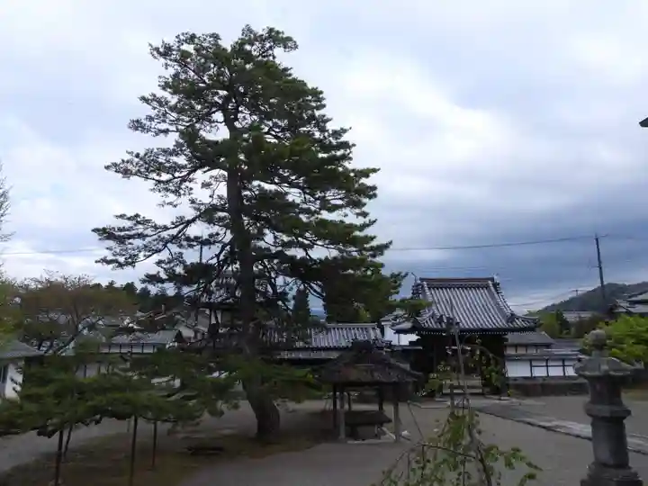 弘誓寺(滋賀県)