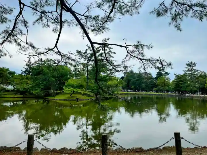 東大寺の{uncategorized: "未分類", other: "その他", undefined: "問題あり", building: "その他建物", grave: "お墓", sacred_gate: "鳥居", guardian: "狛犬", statue: "像", buddha: "仏像", history: "歴史", nature: "自然", garden: "庭園", animal: "動物", pagoda: "塔", temizu: "手水舎", mountain_gate: "山門・神門", sanctuary: "本殿・本堂", subordinate: "末社・摂社", art: "芸術", scenery: "景色", jizo: "地蔵", ema: "絵馬", goshuin: "御朱印", omikuji: "おみくじ", items: "授与品その他", amulet: "お守り", goshuincho: "御朱印帳", eats: "食事", festival: "お祭り", votive_dance: "神楽", shichigosan: "七五三参", wedding: "結婚式", experience: "体験その他", initially: "初詣", around: "周辺", anti_infection: "感染症対策"}