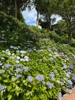 二本松寺(茨城県)