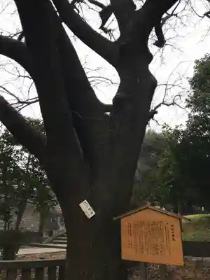 湯島聖堂(東京都)