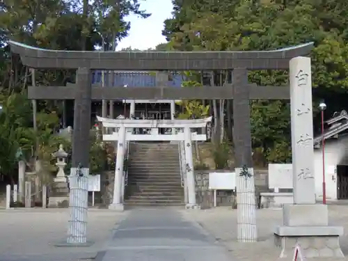白山神社（小幡）の鳥居