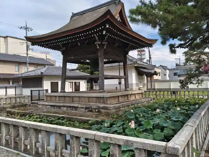 大通寺(長浜御坊)(滋賀県)