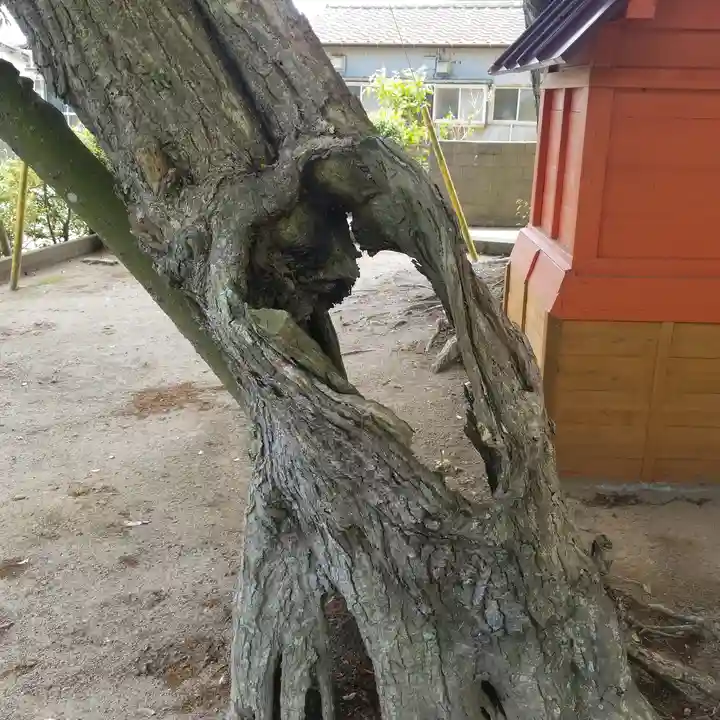 道路衢神の自然