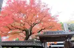 東慶寺の自然