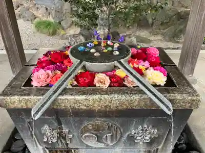 玉村八幡宮(群馬県)