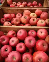 滑川神社 - 仕事と子どもの守り神の食事