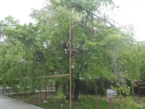 行福寺(愛知県)