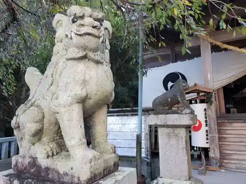 二宮神社の狛犬