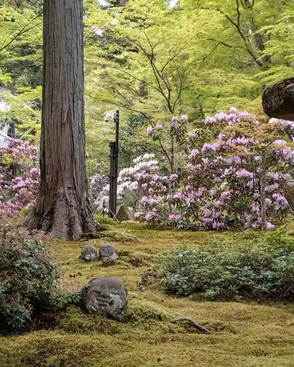 三千院門跡(京都府)