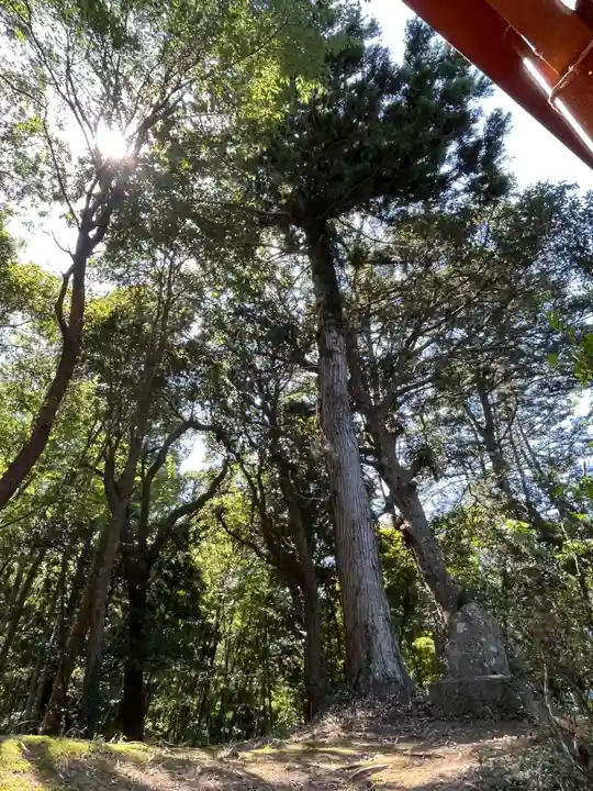 日鷲神社(福島県)